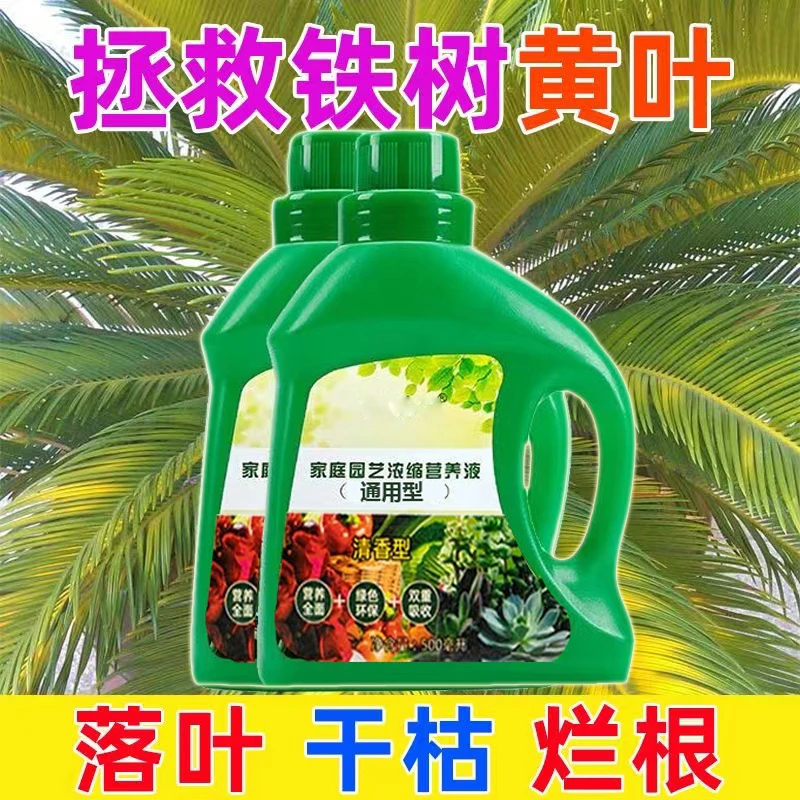 铁树生长植物营养液园艺通用型肥料适用治烂根黄叶促开花叶子发黄