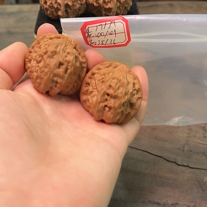 文玩核桃把件白狮子有修