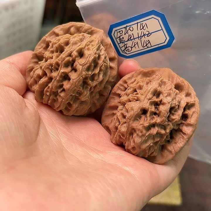 文玩核桃把件非嫁接马老四