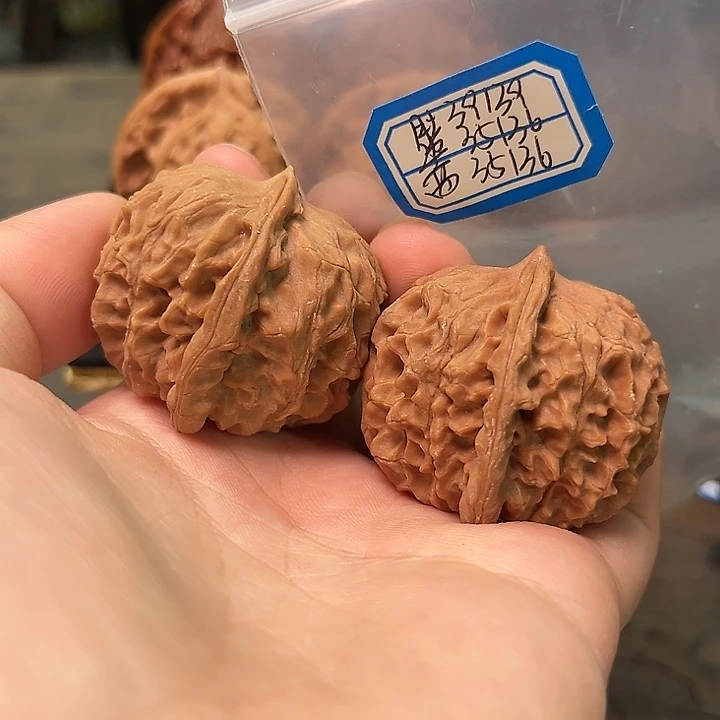 文玩核桃把件非嫁接元宝