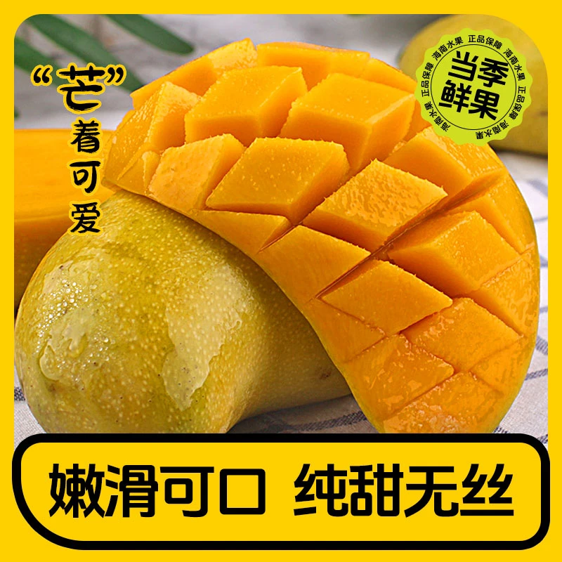 正宗当季现摘海南金煌芒 新鲜 DR