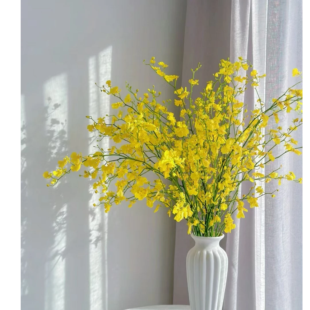 跳舞兰（舞动的小精灵）