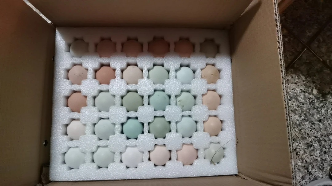 30枚散养土鸡蛋，绿色，安全，营养，没有任何抗生素，激素，色素