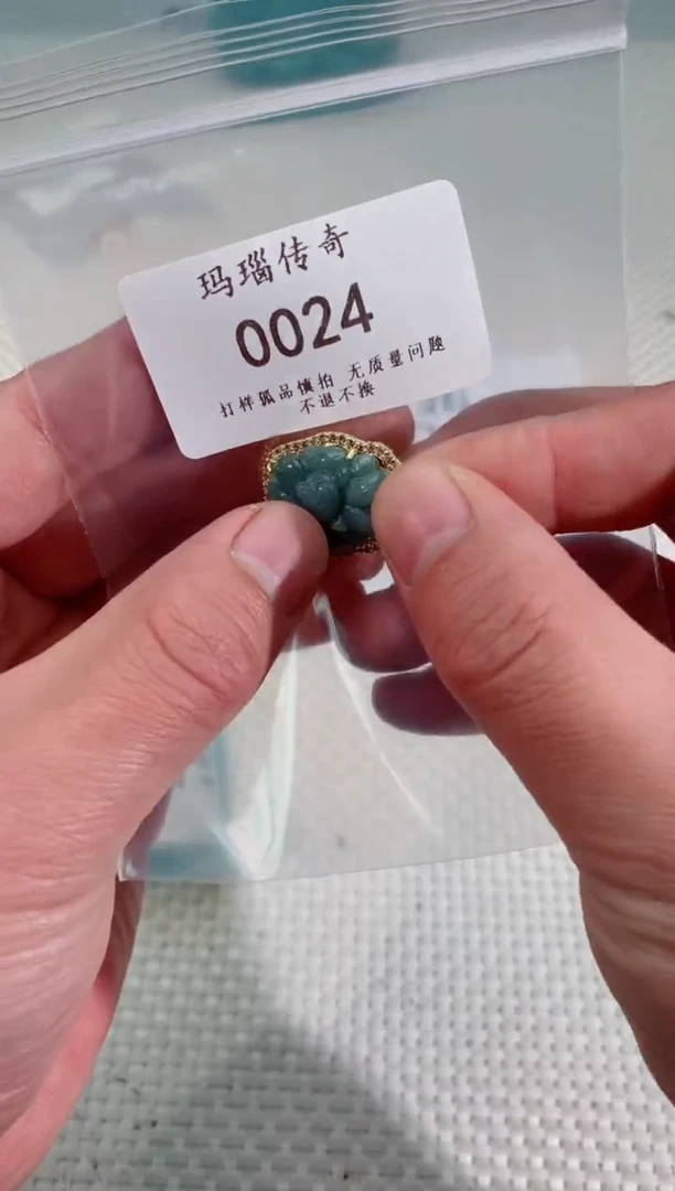 【闪购商品】翡翠颈饰未镶嵌0024
