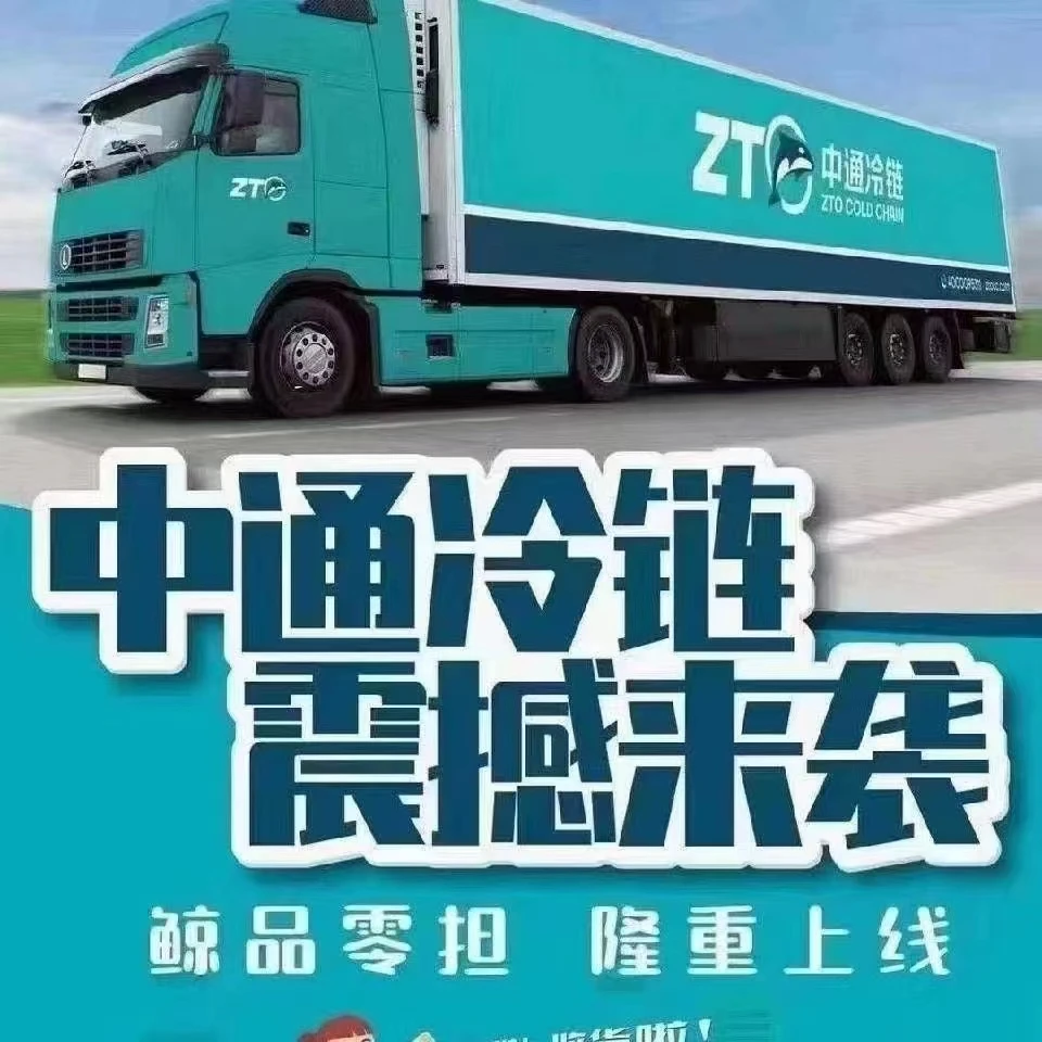 多肉冷链 气温超过20°必拍(温馨提示不拍化水不售后!!!!)