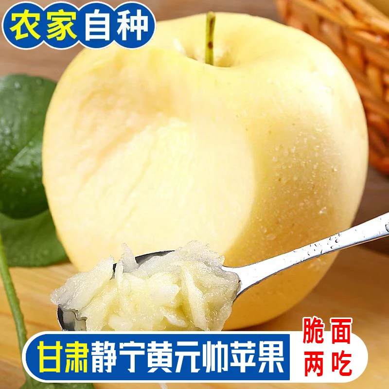 正宗甘肃高山农家自种黄元帅黄金帅黄香蕉苹果网红奶油苹果刮泥