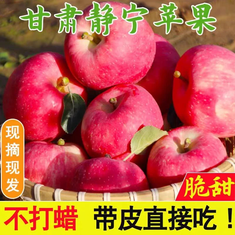 正宗甘肃静宁高山红富士24年新鲜头茬现摘脆甜爽口静宁红富士皮薄