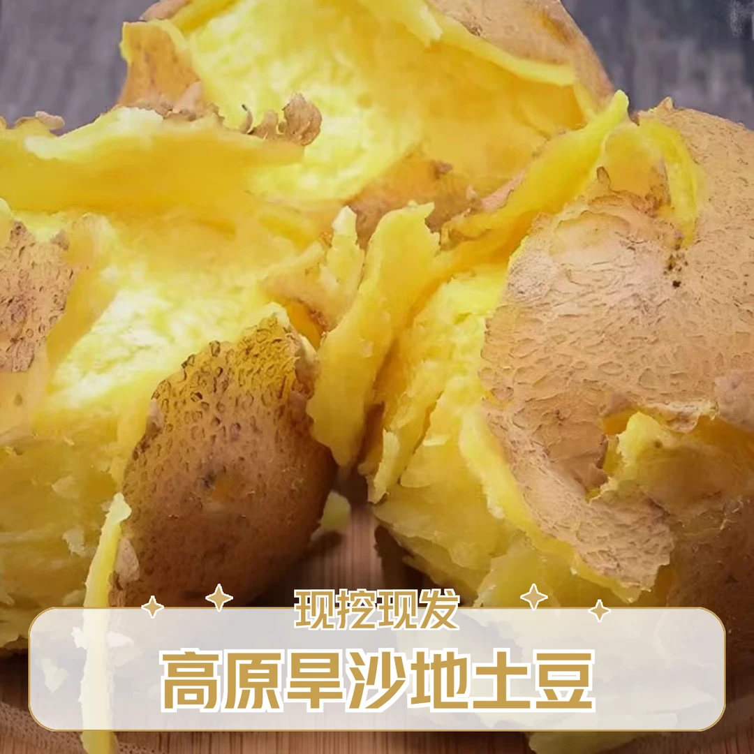 【黄心土豆】定西开花土豆黄心土豆高原旱沙地土豆软糯香甜现挖现发