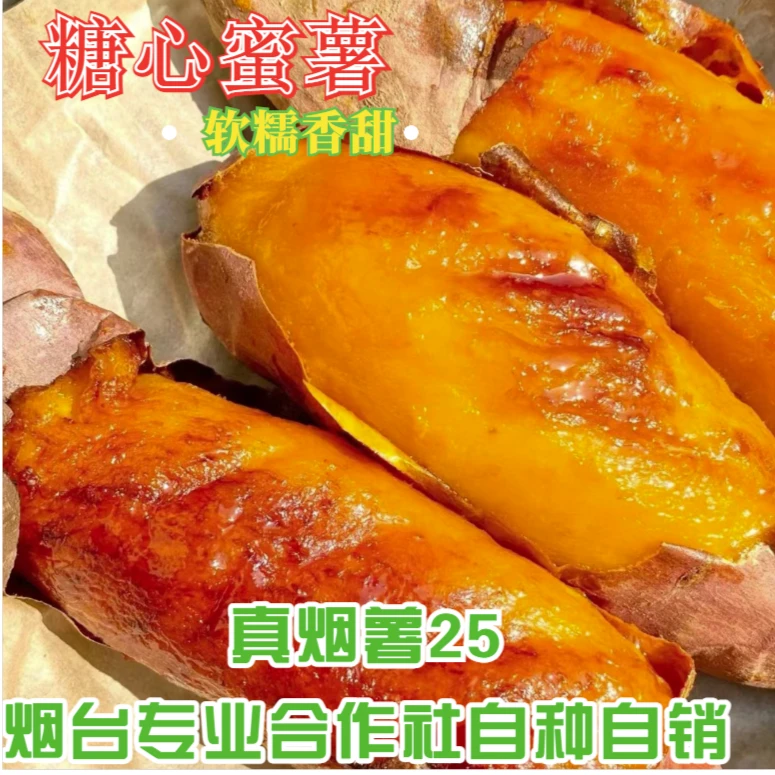 【坏果包赔】正宗烟薯25净重5斤高品质烤红薯皮薄香甜自种自销
