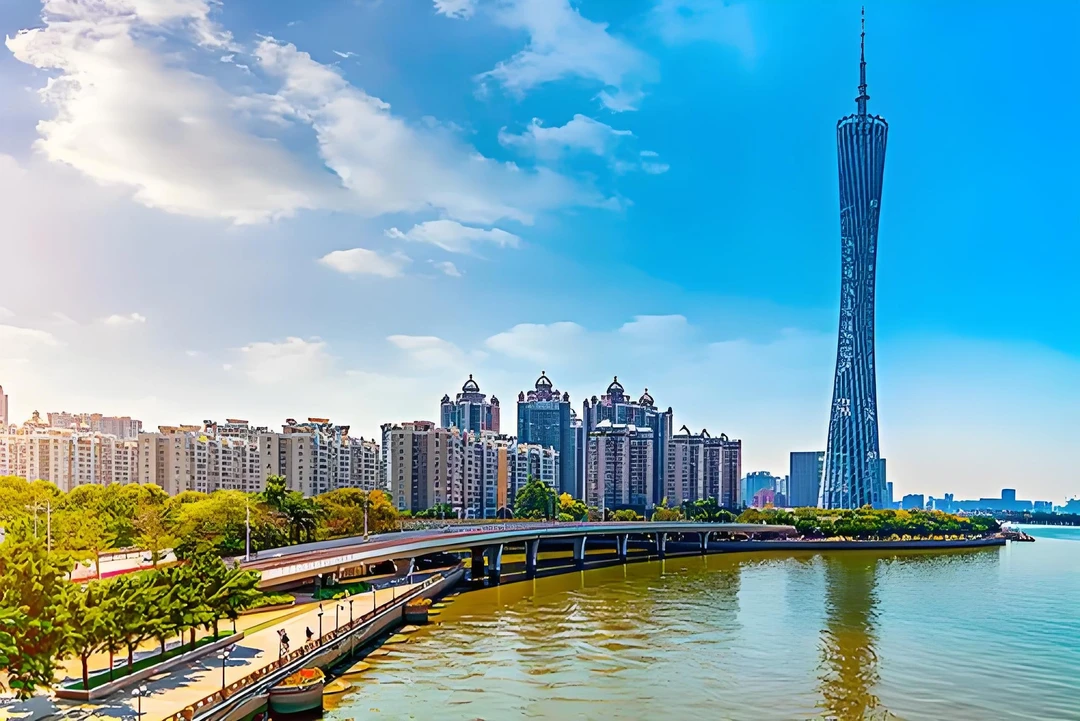 棋盘格经典潮流T恤6770