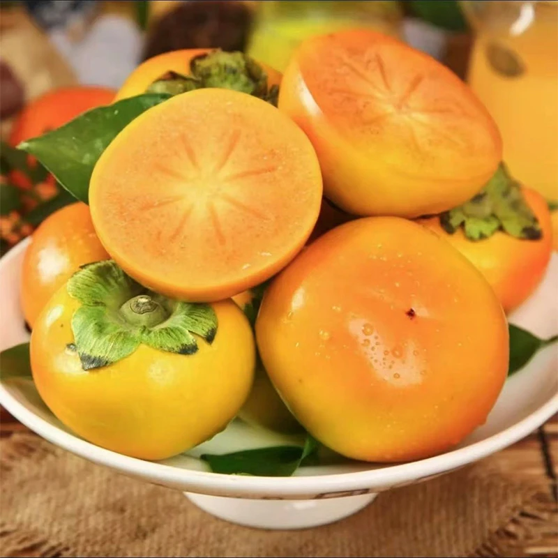 【树上熟 收到即食】脆柿巧克力脆柿子净重4.5斤