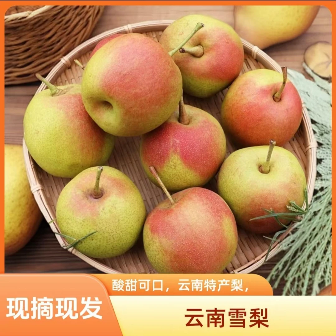 红雪梨红肖梨云南梨秋梨新鲜梨子云南大理产地直发新鲜应季水果