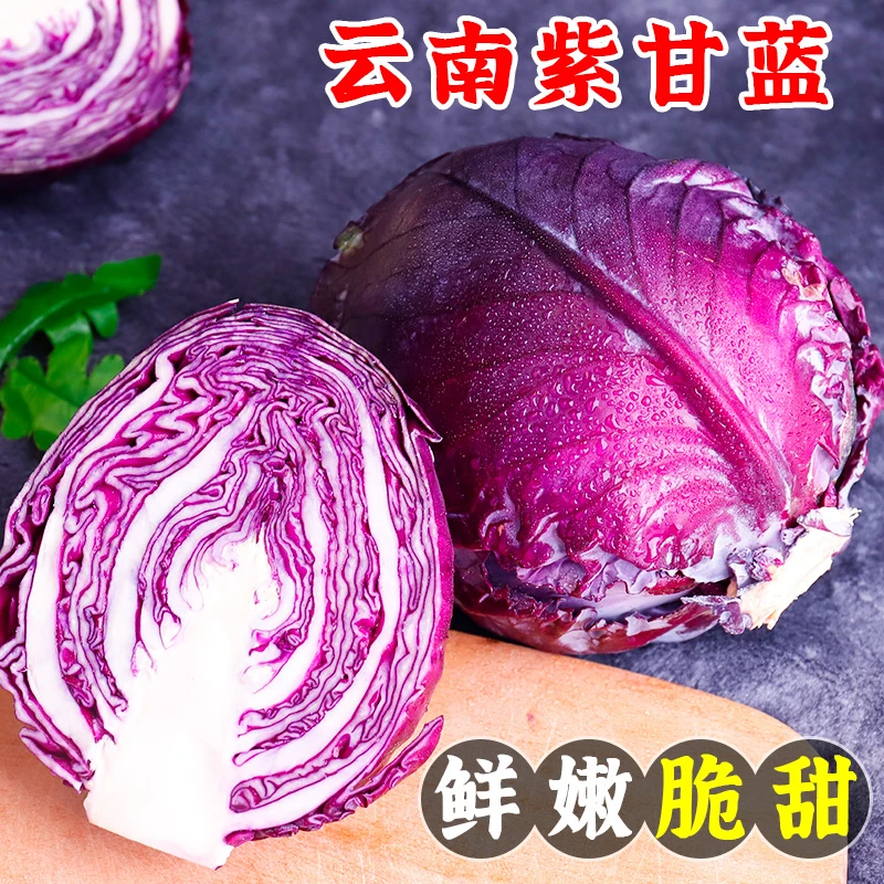 云南新鲜紫甘蓝紫莲花白包心菜当季时令蔬菜