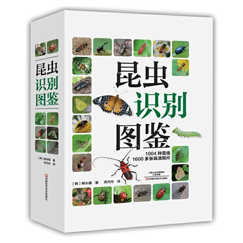 昆虫识别图鉴 1004种昆虫1600多张高清照片自然百科知识读物全书