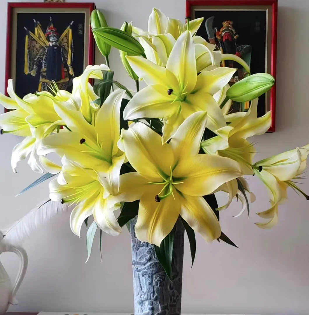 英英鲜花【单头黄天霸】 百合鲜花 云南鲜花