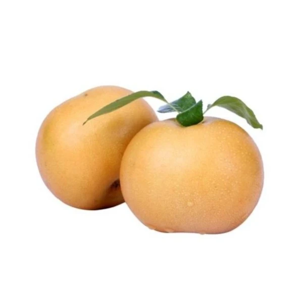 秋月梨1kg/2个装