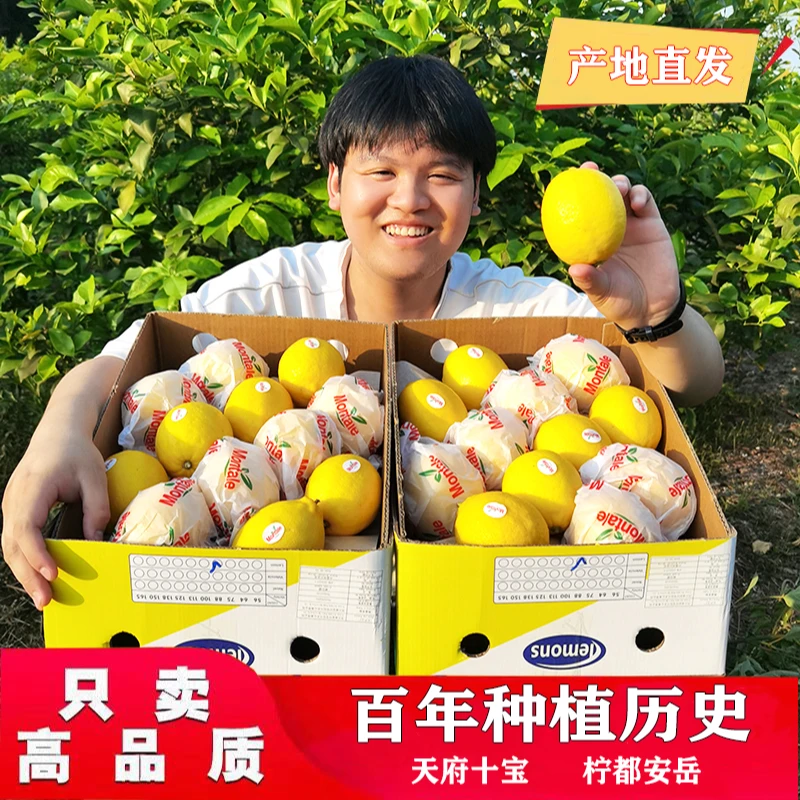 安岳柠檬尤力克黄柠檬酸甜榨汁水果采摘独立包装皮薄果香多汁冲泡