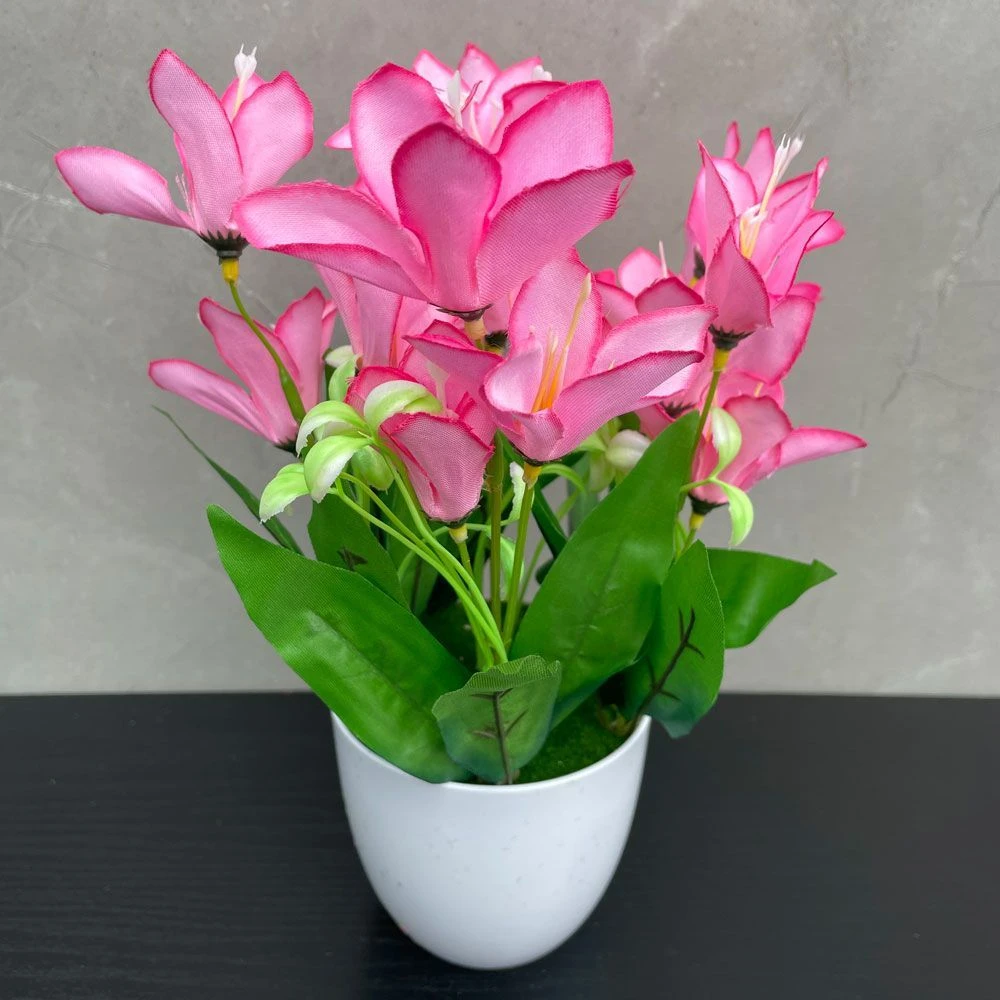 四季开花浓香型大花盆栽室内外懒人好养不死花卉市场大全