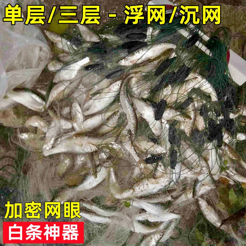 1指1.5指一指半捕白条网马口网捕鱼网粘网单层三层浮网沉网鱼网