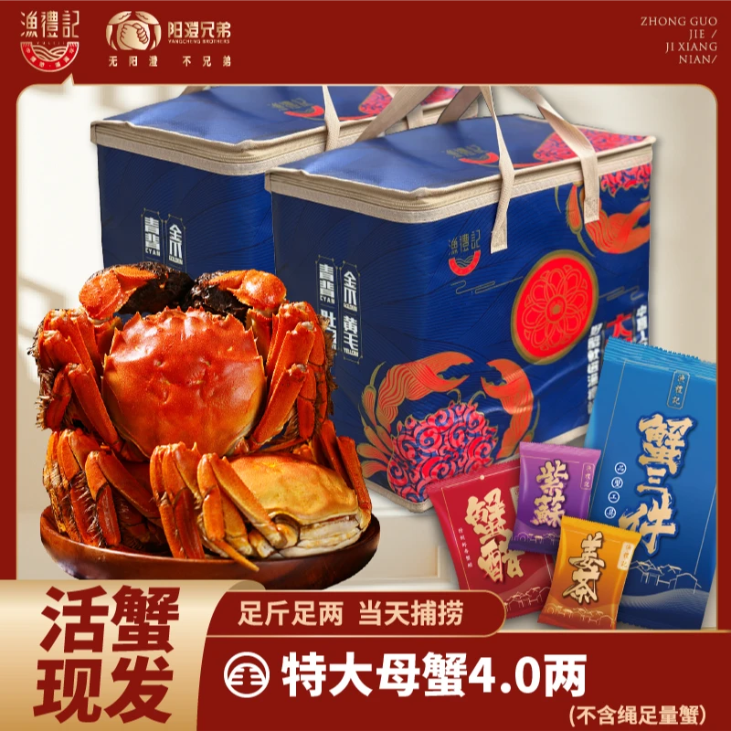 【活蟹】4.0两全母蟹江苏精品湖区大闸蟹螃蟹现货加赠2只共8只/10只