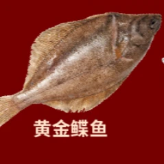 黄金鲽鱼400-500g