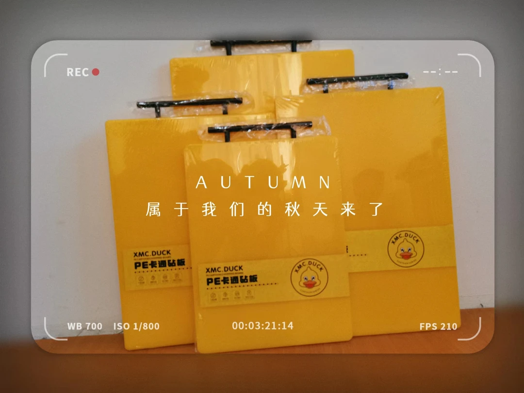 新款PE卡通的砧板