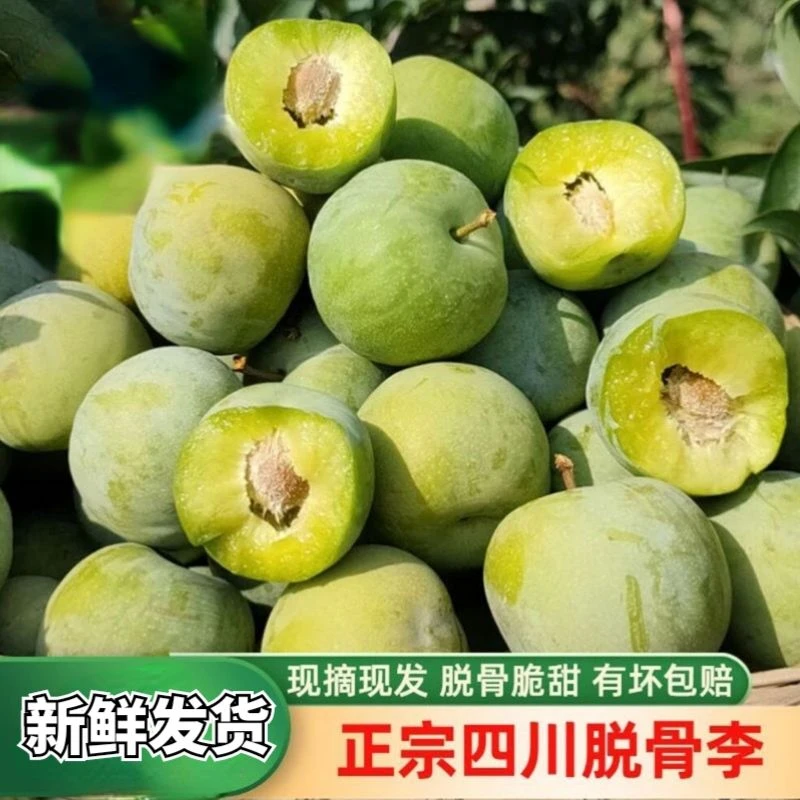 四川脱骨李新鲜青脆李宜宾茵红李半边红李青红脆甜李子清脆脱骨李