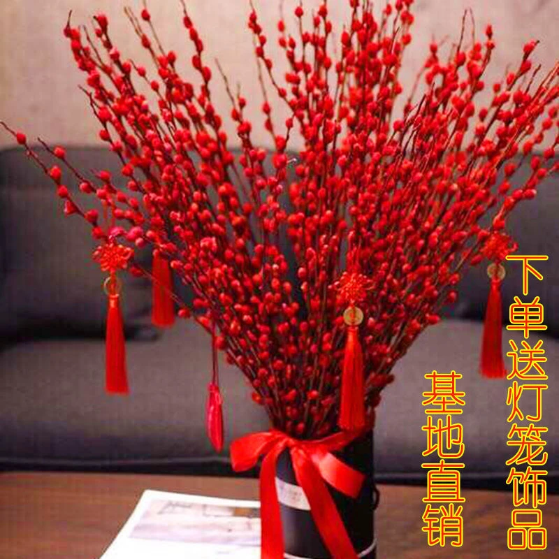 新疆包邮招财银柳干花真花鲜枝水培植物红色银柳年宵花卉福桶客厅
