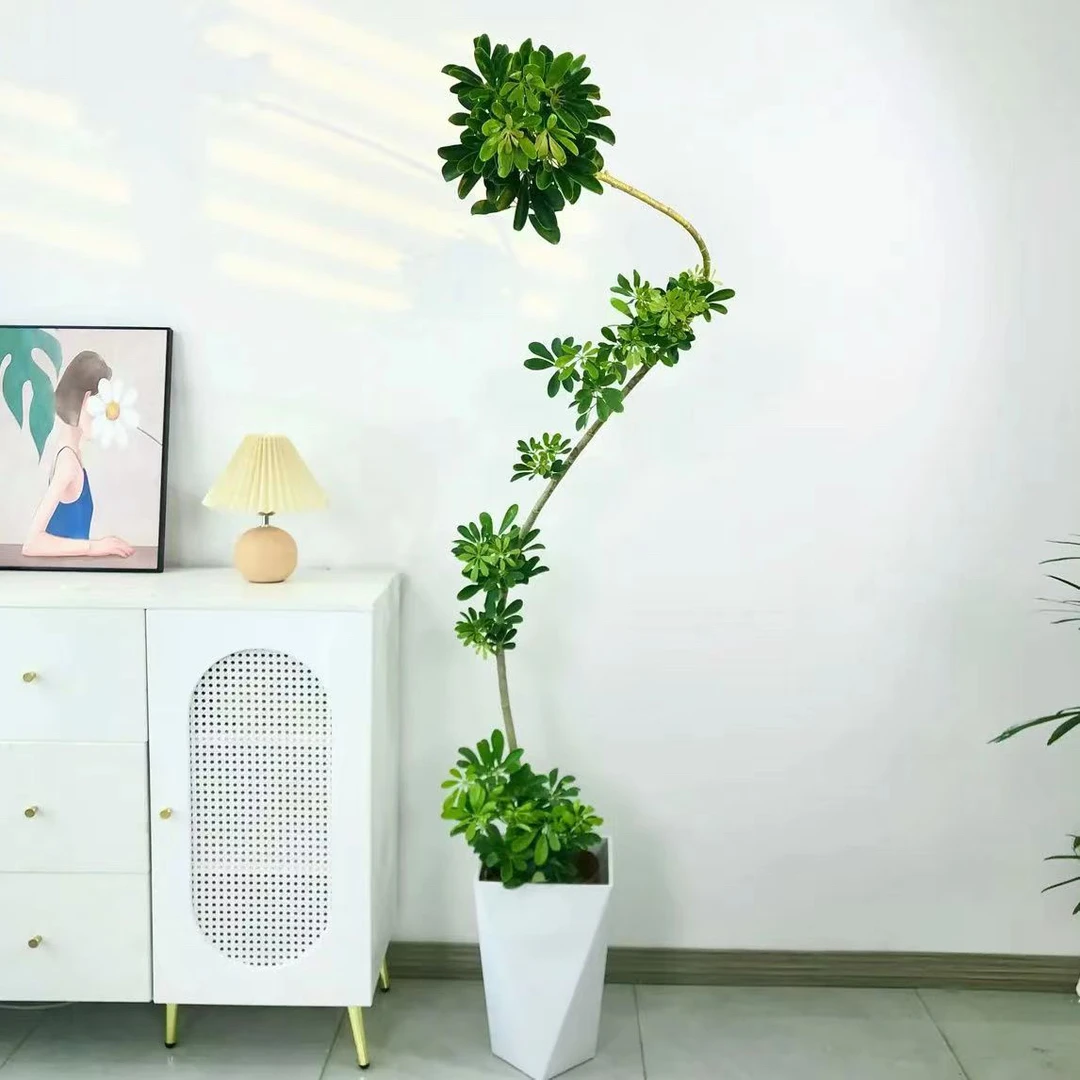 高端编织造型简约北欧新款鸭脚木八方来财客厅办公盆栽绿植