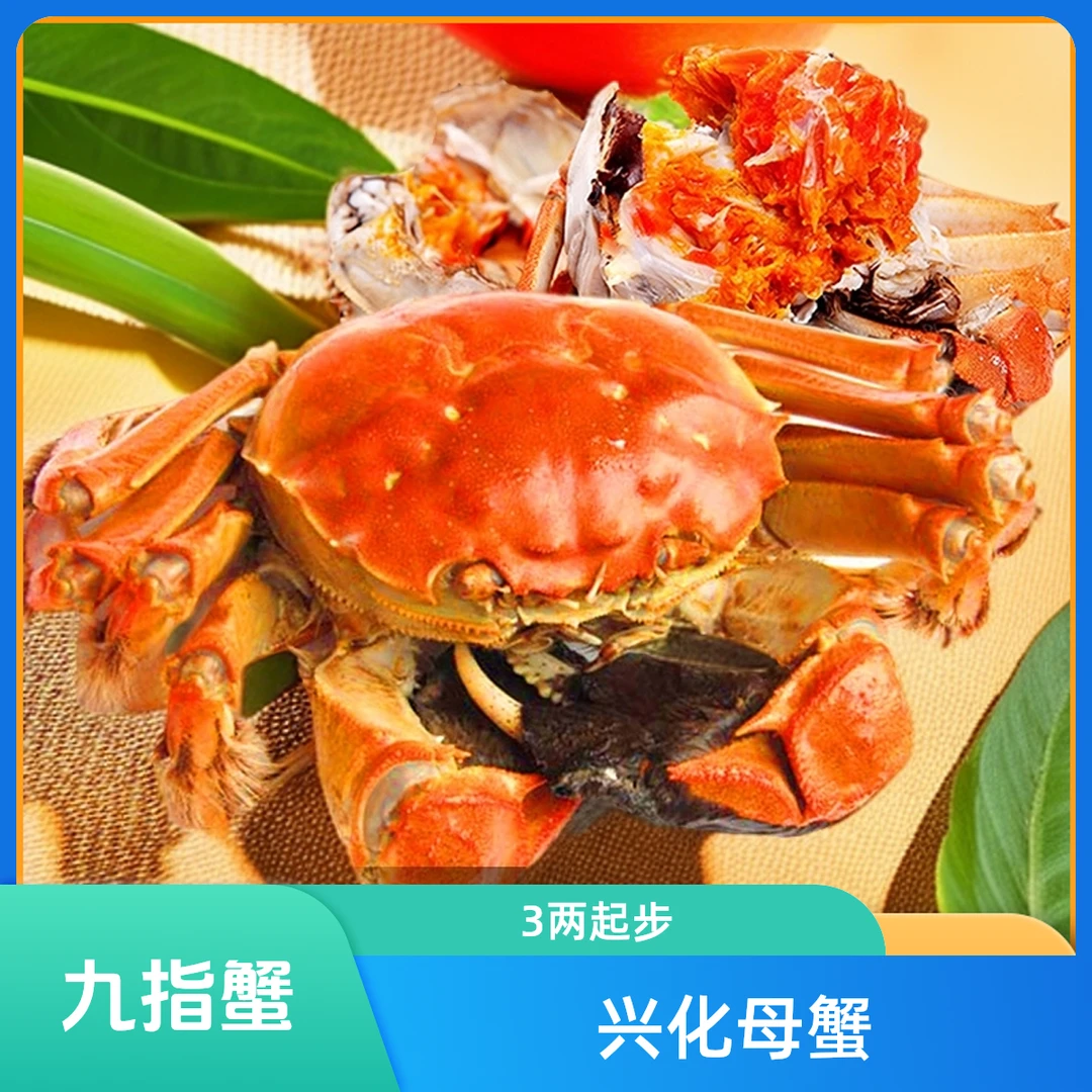 【全母蟹】兴化缺爪精品大母蟹 3两左右 3斤8-10只左右（少一个小爪）