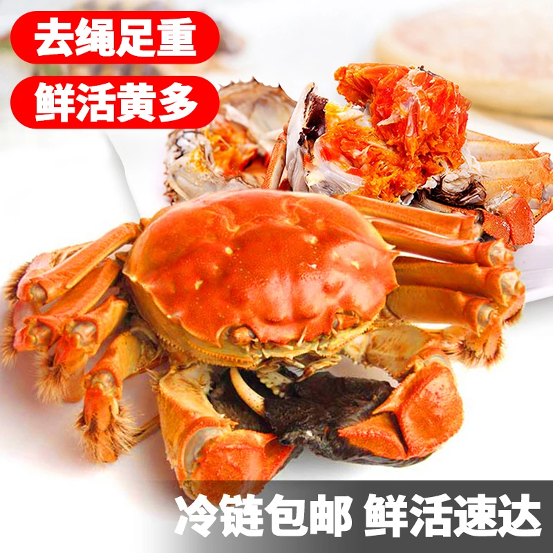 【活蟹现发】源头精品河蟹 母4两 公5两 8只/10只装 去绳 顺丰包邮