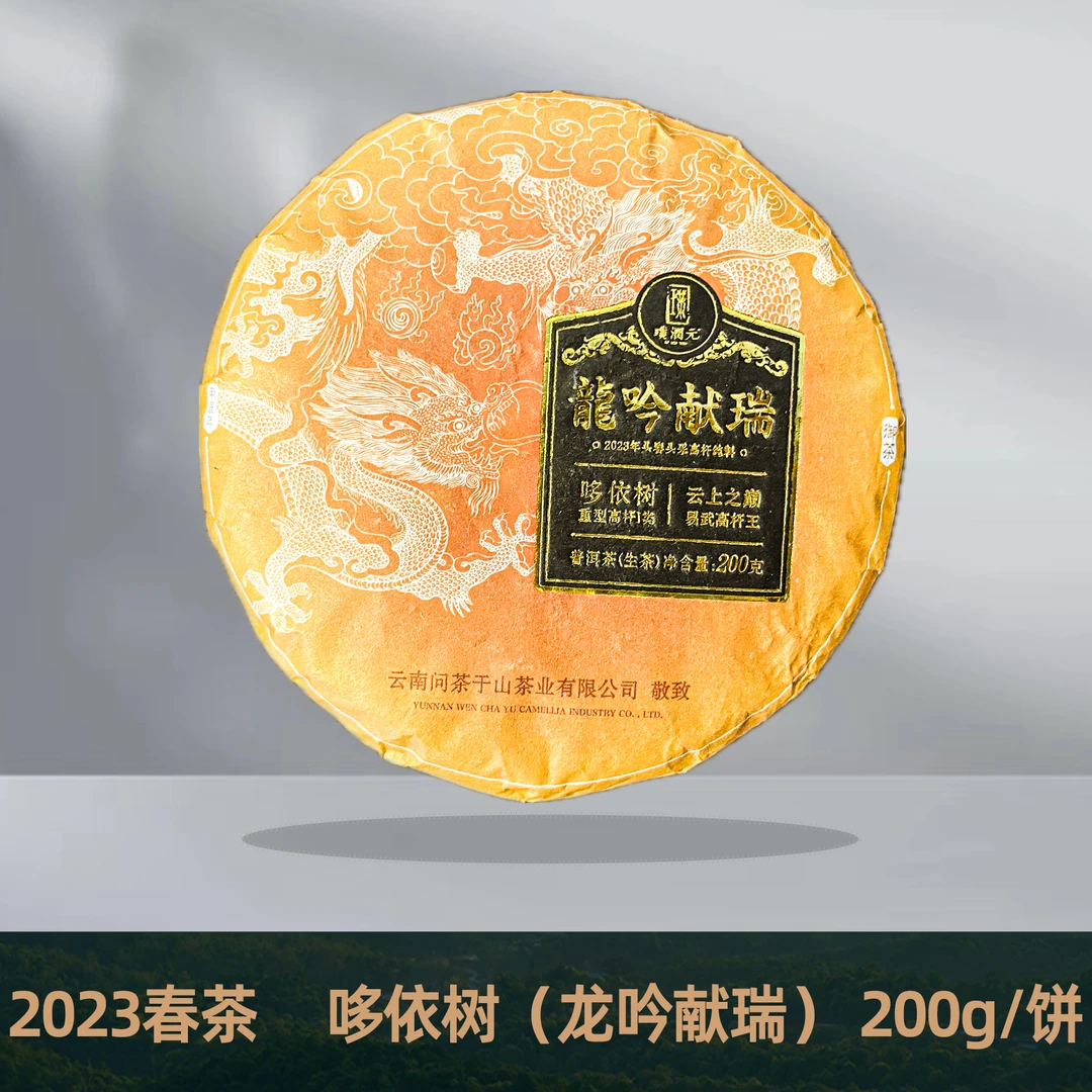 璞润元古茶【龙吟献瑞·哆依树重型高杆一类】2023春普洱生茶200g