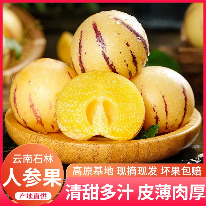 人参果云南石林基地直发树熟皮薄多汁爽口大果3/5/9装新鲜水果