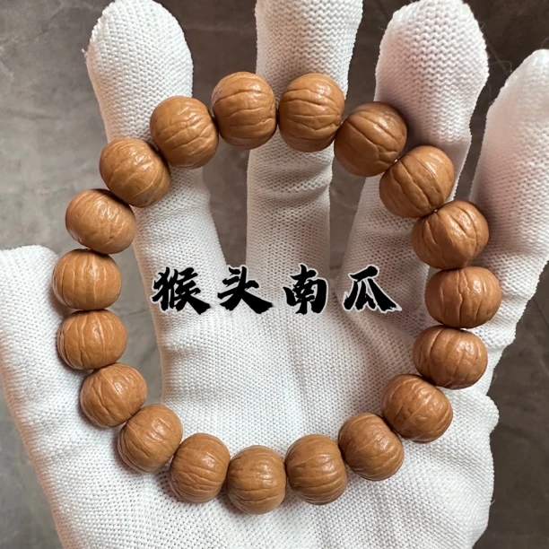 猴头南瓜原籽原皮双鳍南瓜13-15mm