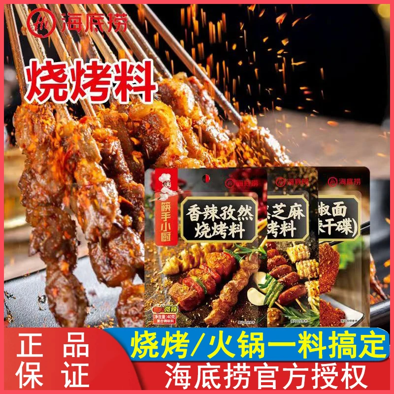 海底捞烧烤调料家用烤肉孜然粉蘸料40g烤串干料空气炸锅烤肉撒料