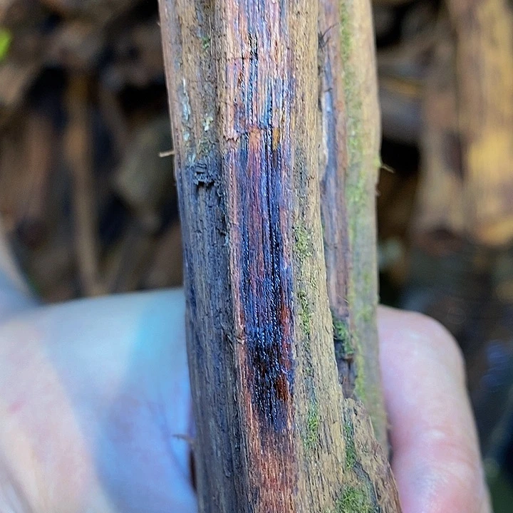 降真香手串萍**逢定制不退换