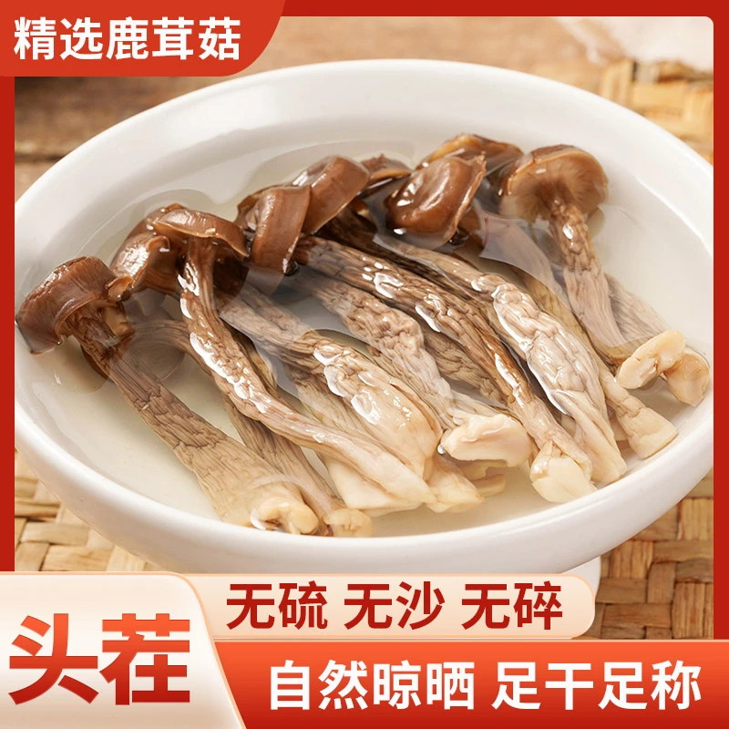 （高山鹿茸菇）古田高山种植鹿茸菇优质干货古田鲜香甄选美味新鲜