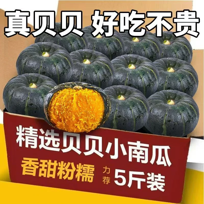 正宗贝贝南瓜口感超粉糯香甜粗粮辅食新鲜蔬菜坏果包赔5斤装