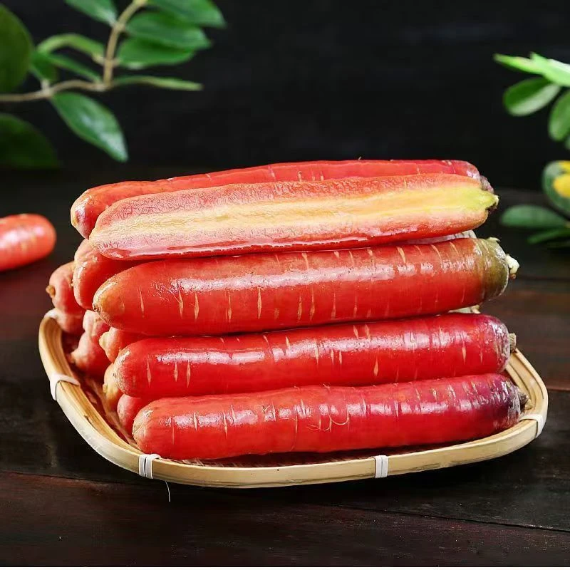 正宗陕西水果红萝卜新鲜蔬菜带沙土发货可生吃烹饪老少皆宜