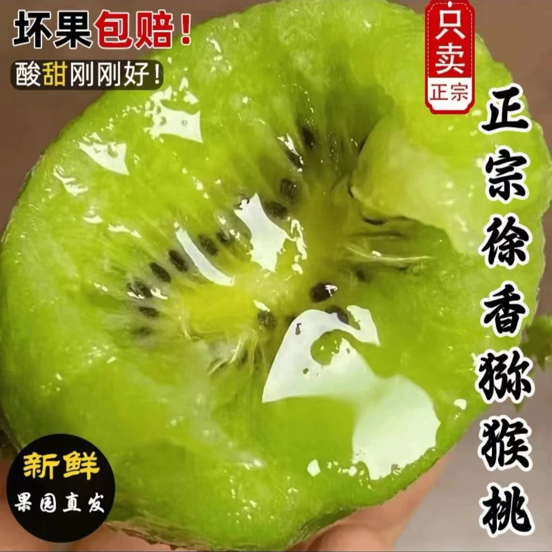 拍10枚送20枚陕西正宗徐香猕猴桃奇异果绿心猕猴桃坏果包赔60-80g