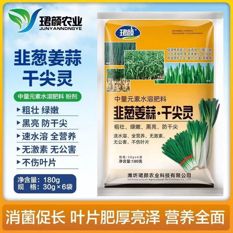 韭葱姜蒜干尖灵粗壮绿嫩黑亮防干尖全营养不上叶片水溶肥抗病