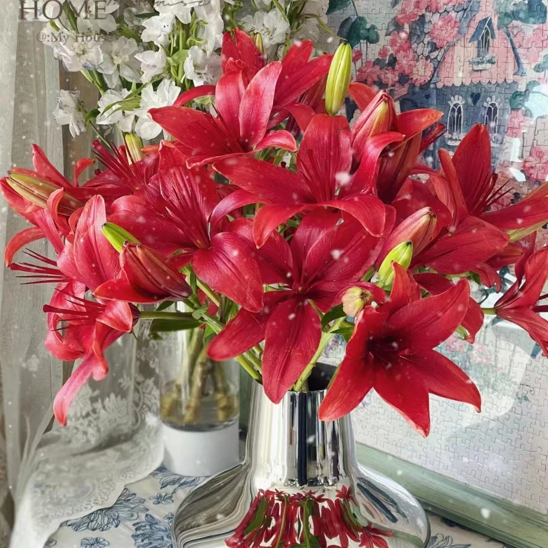 【买百合选林冲丨红宝石】单瓣亚百合无香高级大气送礼【迷你小花苞】