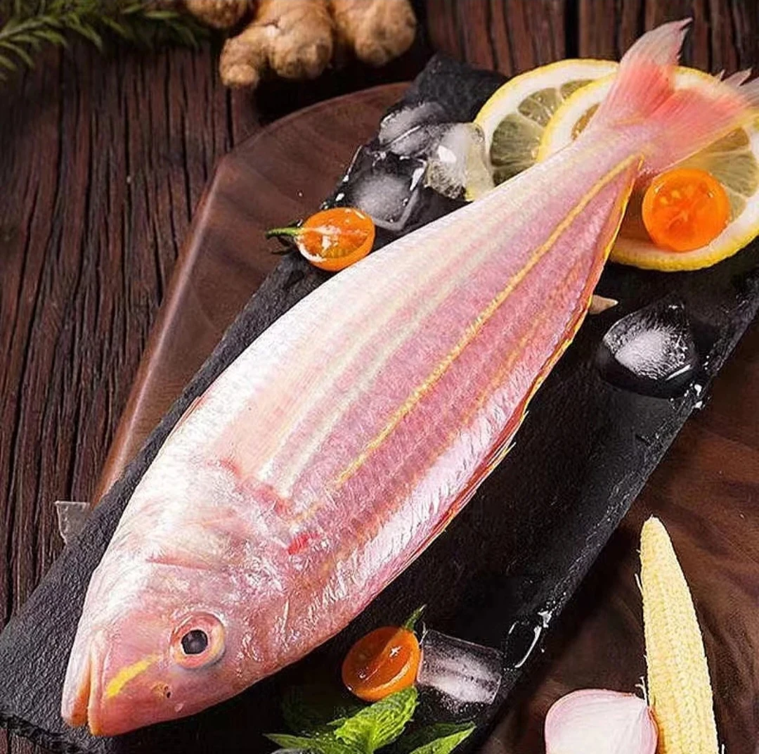 【小老弟】广西海捕 金线鱼  肉质鲜嫩