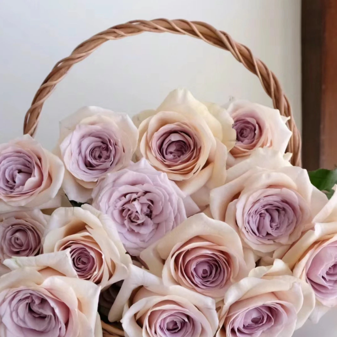 10枝桌文君玫瑰    一单中通冷链 2单顺丰