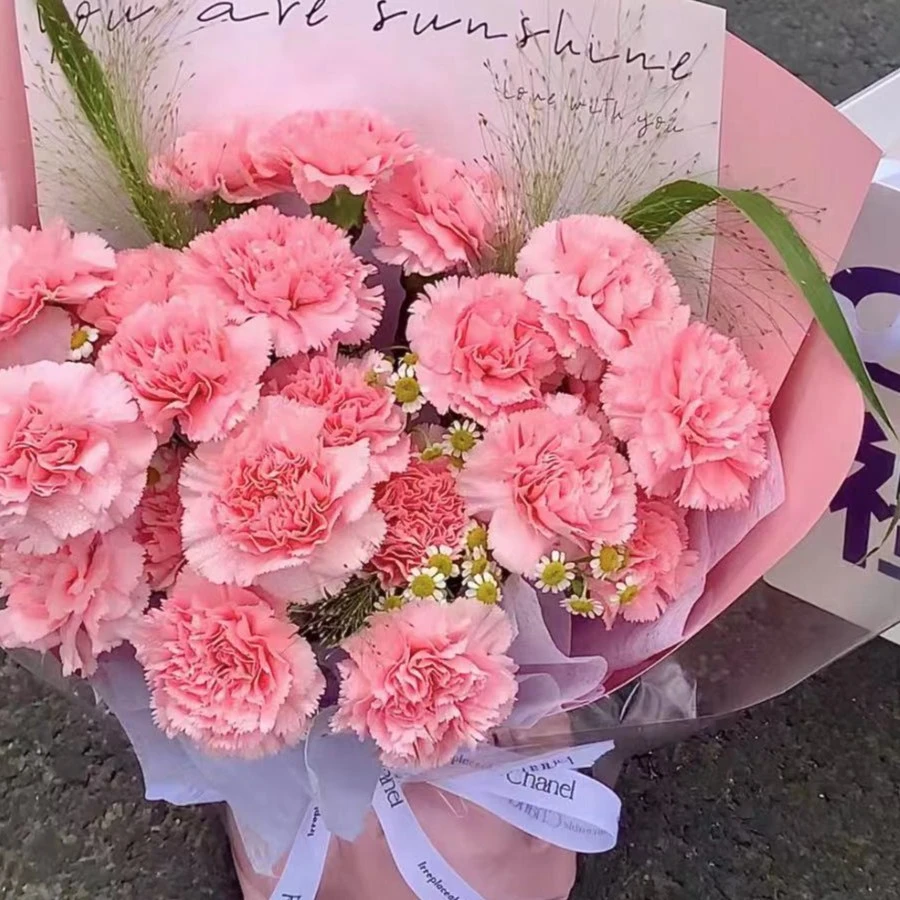 粉钻康乃馨  任意两单以上发货注意【单拍需要补运费】10%不售后