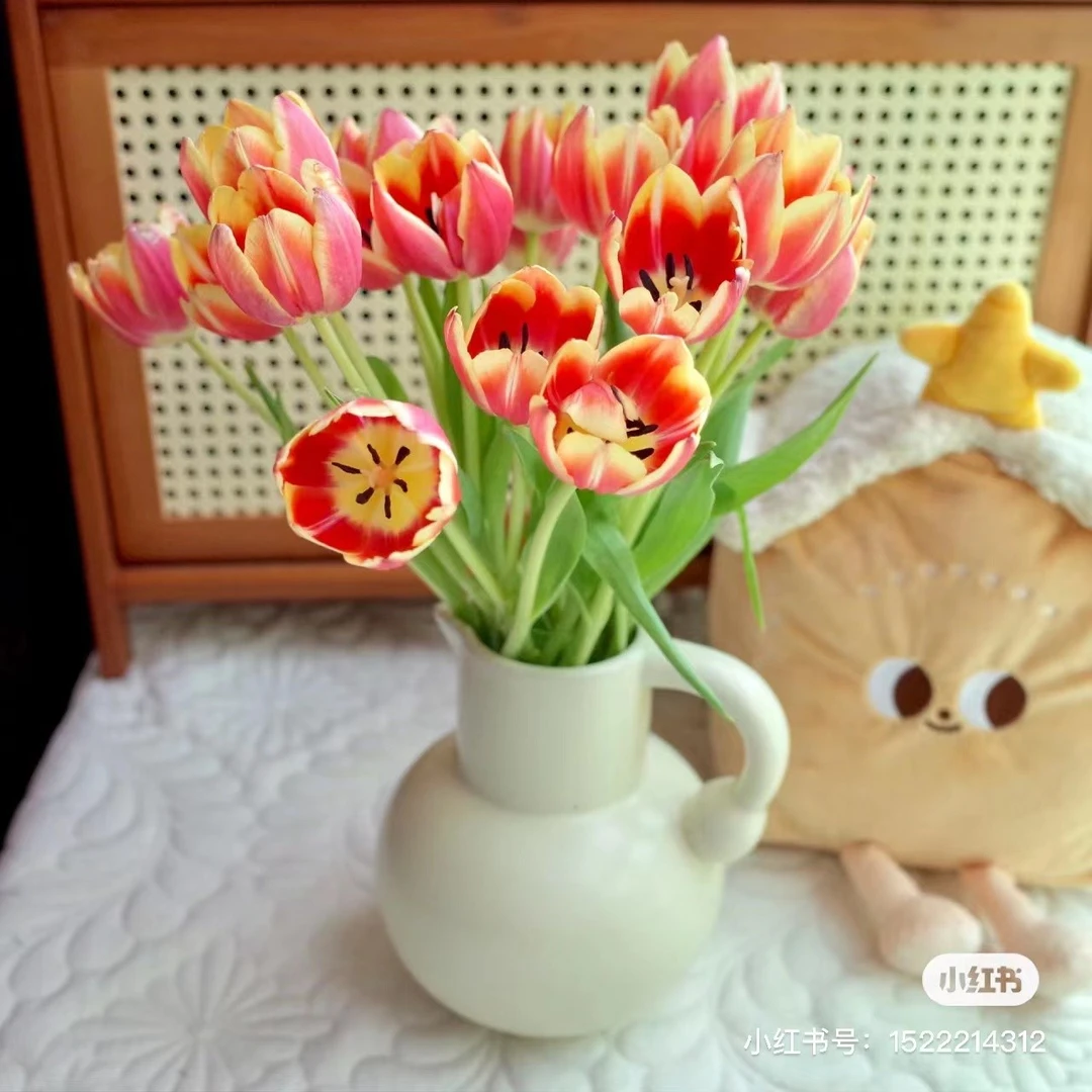 方德 爱丽丝 郁金香  鲜花 云南基地直发 任意两单起发