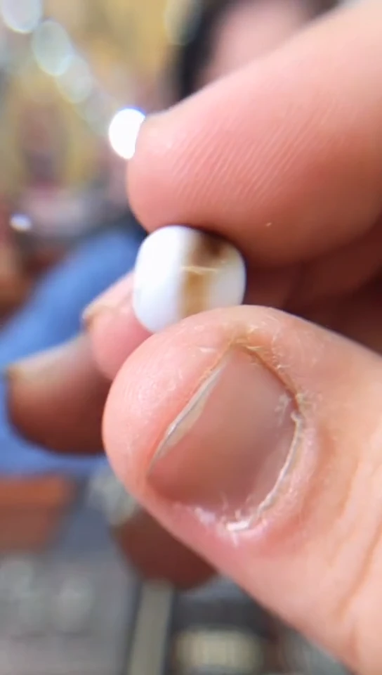 【闪购商品】玛瑙/玉髓单颗未镶嵌虎牙单颗