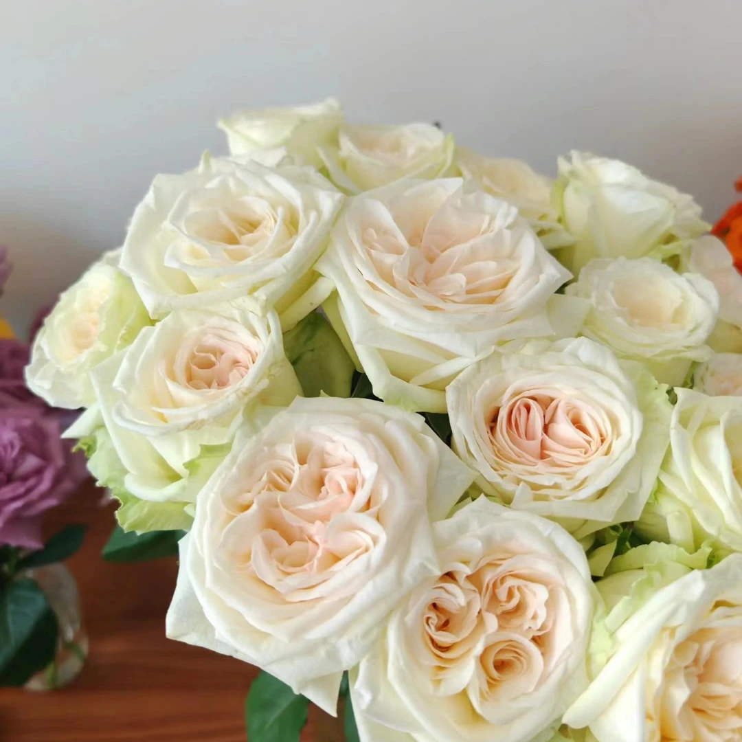 【香羿鲜花】白荔枝10支/全场任意满两单及以上包邮