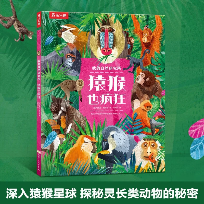 乐乐趣我的自然研究所猿猴也疯狂黑猩猩猴子儿童动物科普认知绘本
