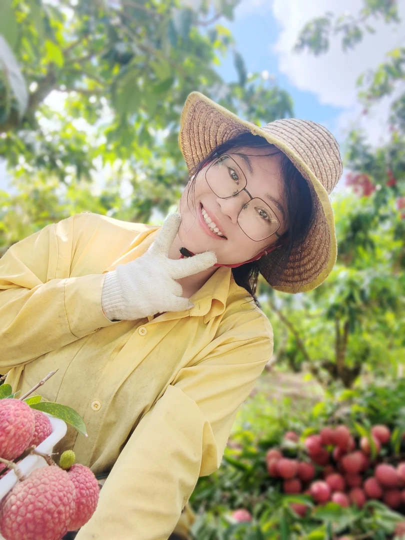 广东阳西上洋镇妃子笑荔枝全国包邮